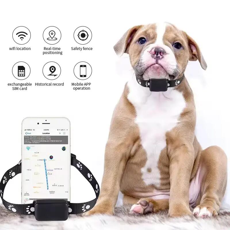 Pet cat dog anti-lost device GPS+ WIFI Gps Navigation tracker 