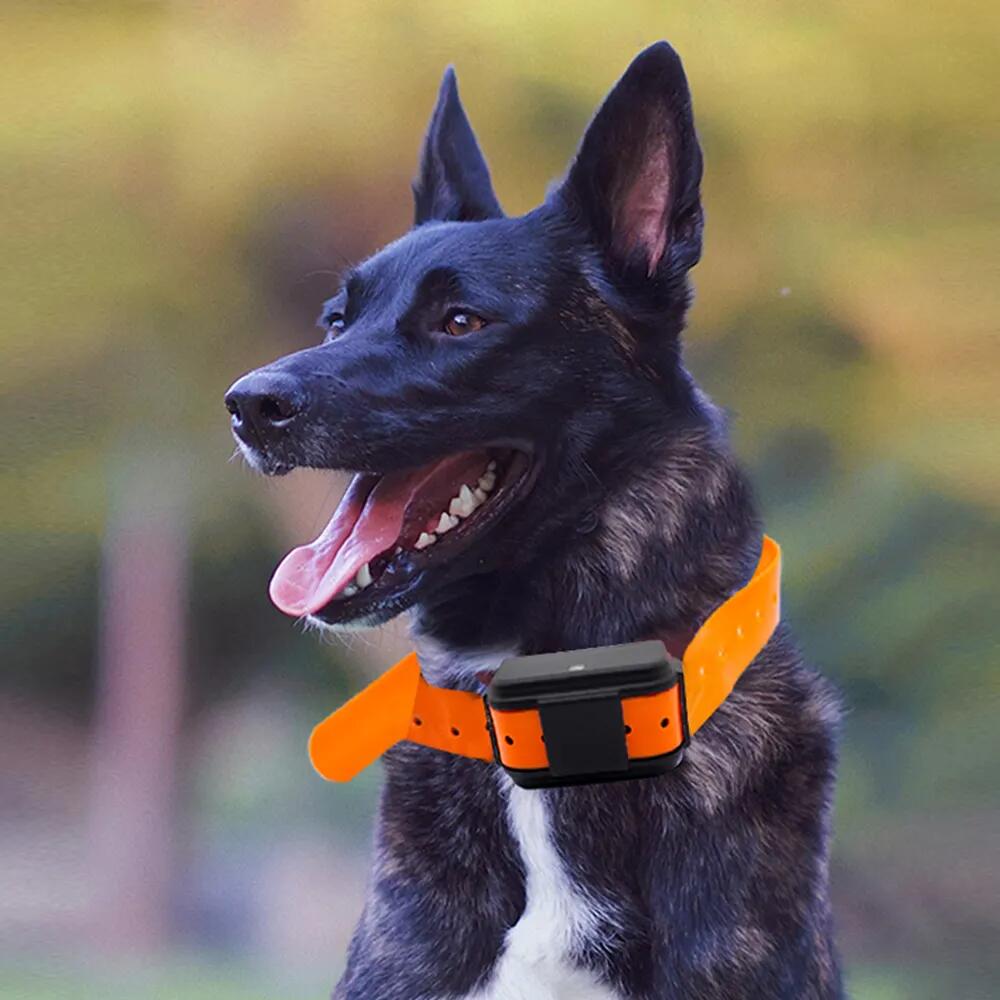 GPS Tracker Pet Locator Dog Collar With 4G / LBS Mode