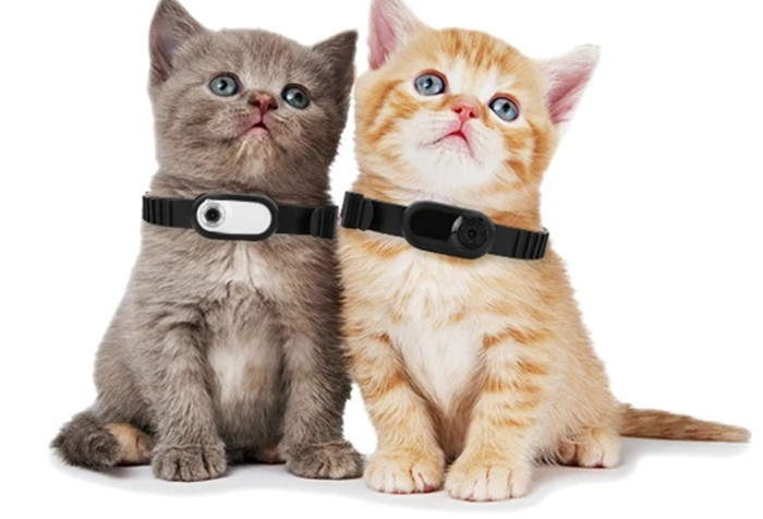 Pet collar with camera