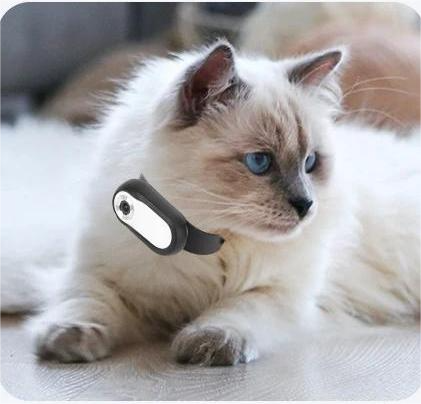 Pet Collar  Camera