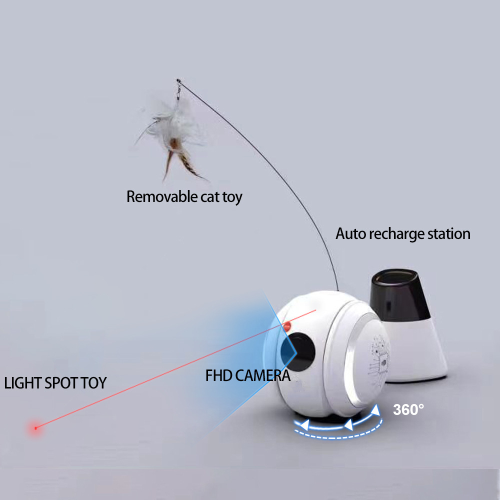 Pet companion Robot(图1)