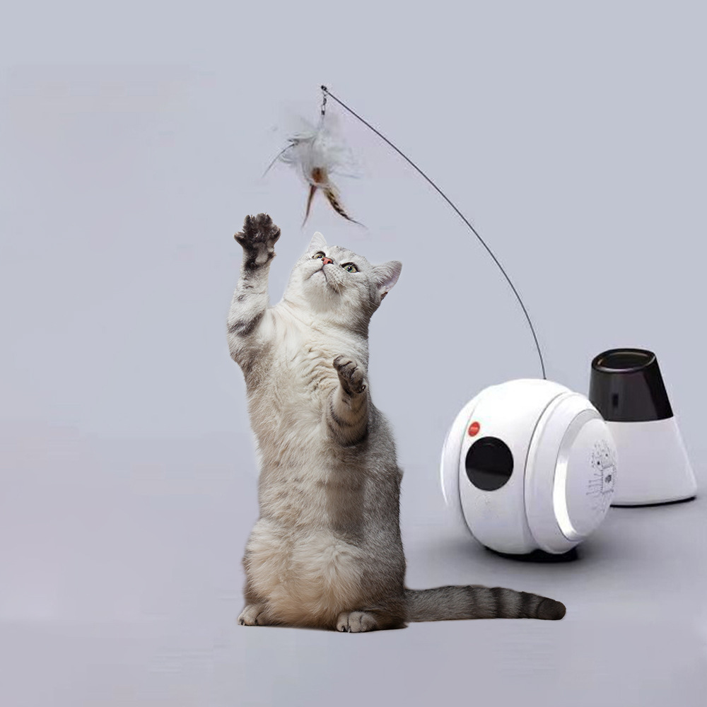 Pet companion Robot(图4)