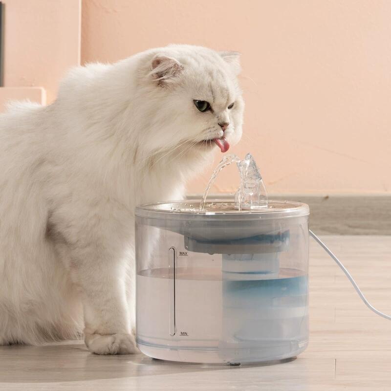 Transparent Pet Fountain(图2)