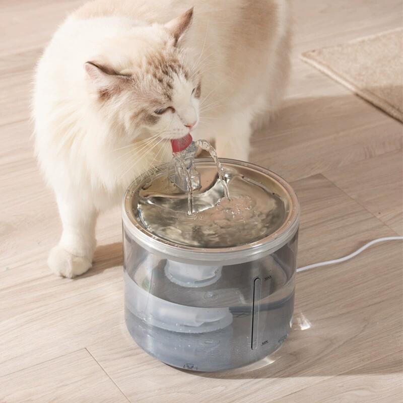 Transparent Pet Fountain(图3)