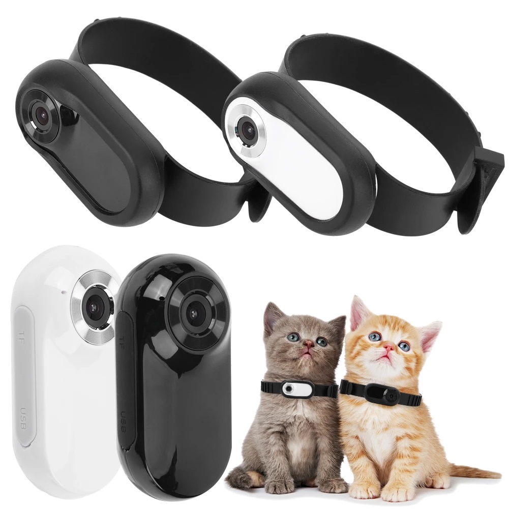 Pet Collar  Camera(图2)